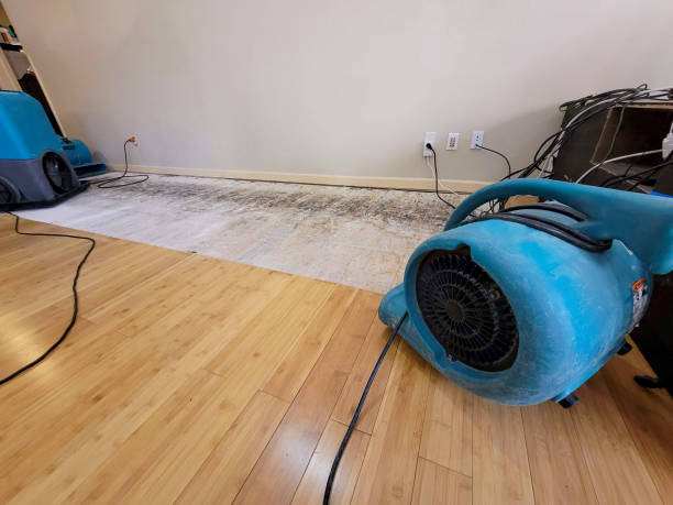 Professional Ceiling Water Damage Repair technician working in Bruno, MN